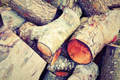 Dunks wood burning boiler costs